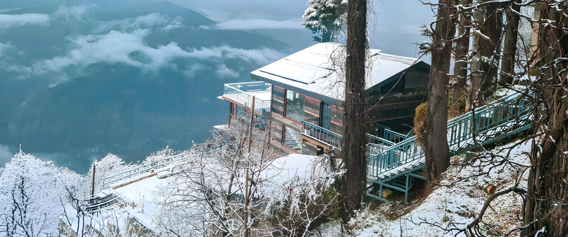 Where winter finds roots